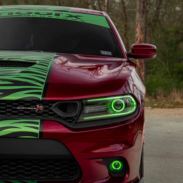 2015-2021 DODGE CHARGER RGBW DRL & DIFFUSED PROJECTOR HALO BUNDLE