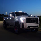 2020-2026 Chevy Silverado & GMC Sierra 2500/3500 HD ION Series LED Door Handles