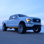 2021-2026 Ford F-150 ION Series LED Door Handles
