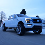 2021-2026 Ford F-150 ION Series LED Door Handles