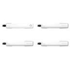 2021-2026 Ford F-150 ION Series LED Door Handles