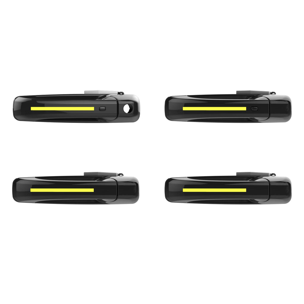 2010-2018 Dodge Ram 2500/3500 ION Series LED Door Handles